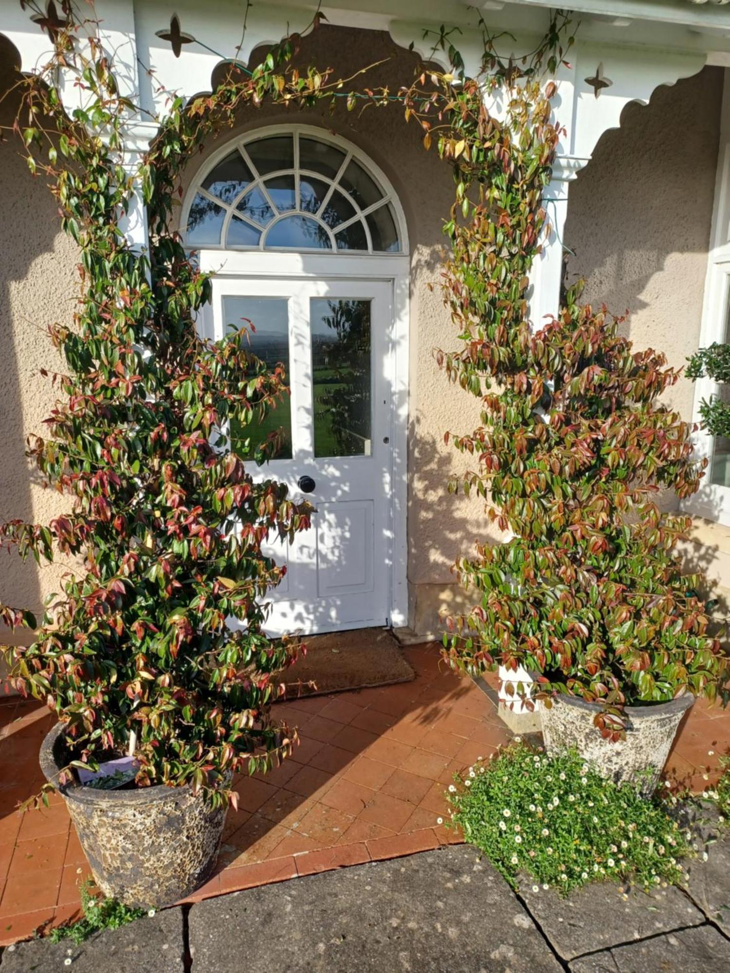 Rusling House Bed & Breakfast Butcombe ภายนอก รูปภาพ